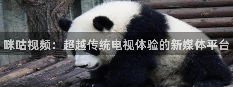 八戒电影免费版