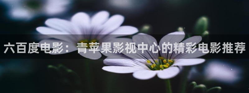 八戒八戒电影在线播放高清