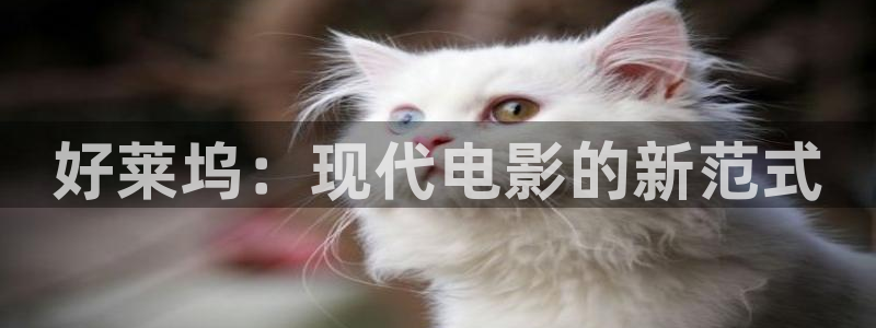 神马影视我不卡八戒