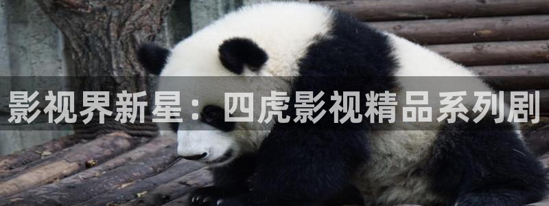 6080八戒影视九一影院