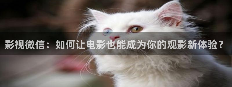 八戒影院老子影